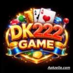DK222 GAME